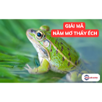 Giải mã giấc mơ thấy ếch chi tiết và con số may mắn