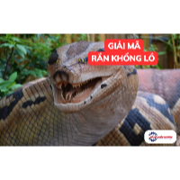 Giải mã giấc mơ thấy rắn khổng lồ: Điềm báo trong cuộc sống