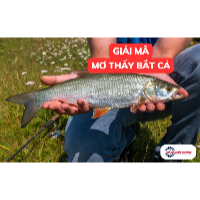 Mơ thấy bắt cá: Điềm báo lành hay dữ và con số may mắn