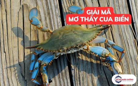 Bí ẩn giấc mơ thấy cua biển và bộ số chuẩn theo từng tình huống