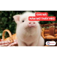 Mơ thấy heo là điềm gì? Giải mã chi tiết và con số may mắn