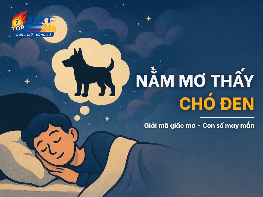 Nằm Mơ Thấy Chó Đen (Chó Mực) Là Điềm Gì? Con Số May Mắn