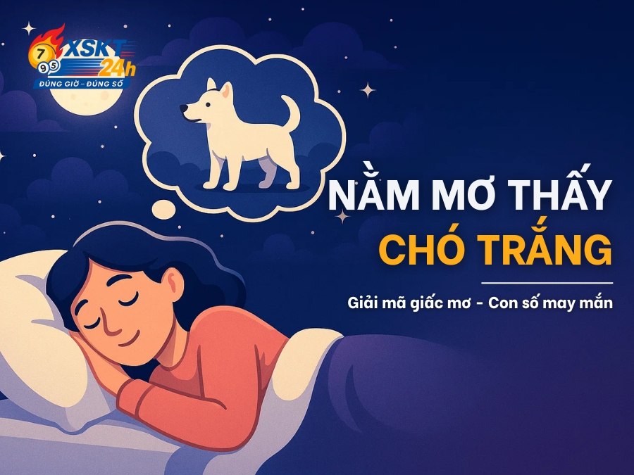 Mơ Thấy Chó Trắng: Giải Mã Trực Giác, Mối Nguy & Vận May