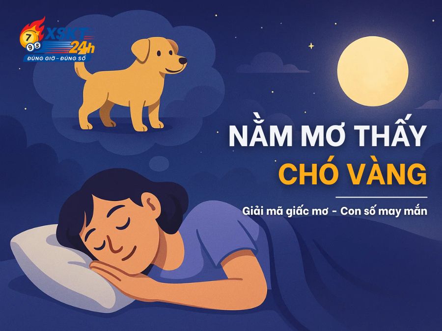 Mơ Thấy Chó Vàng – Tài Lộc Hay Dấu Hiệu Tâm Linh?