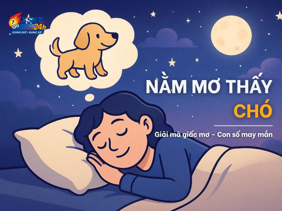 Nằm Mơ Thấy Chó Là Điềm Gì? Luận Giải Con Số May Mắn
