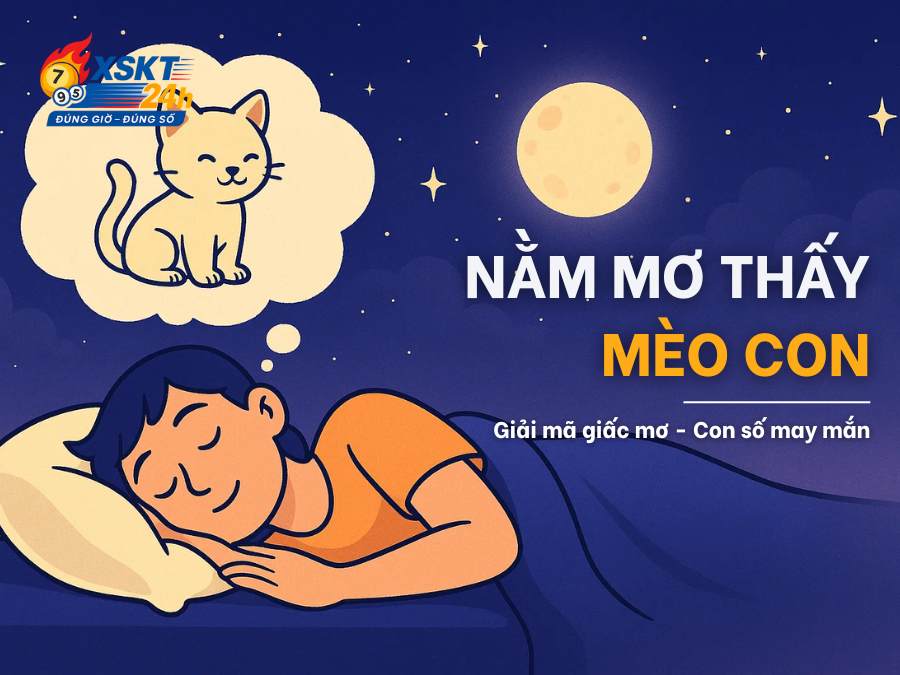 Giải Mã 15 Giấc Mơ Thấy Mèo Con & Con Số Tài Lộc