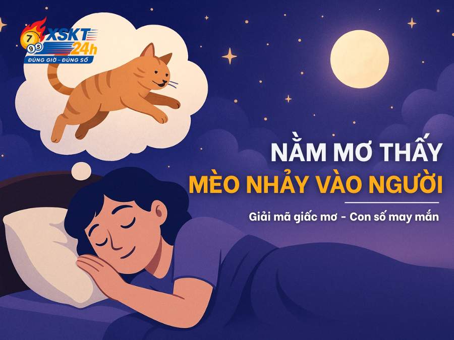Nằm Mơ Thấy Mèo Nhảy Vào Người Là Điềm Gì? Giải Mã Số May Mắn