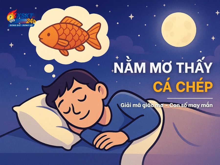 Mơ Thấy Cá Chép Là Điềm Gì? Luận Giải Con Số May Mắn