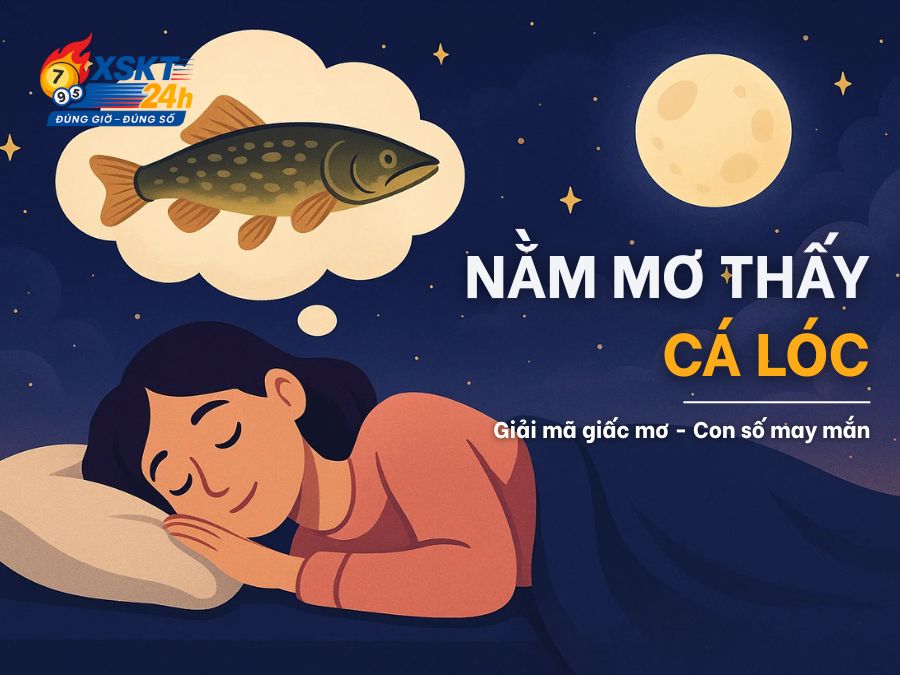 Mơ Thấy Cá Lóc Là Điềm Gì? 10 Giấc Mơ & Con Số May Mắn
